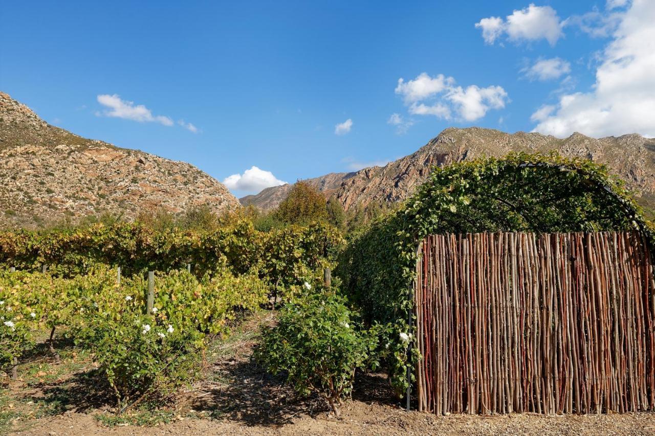 Jus Limin Hotel Montagu Exterior photo